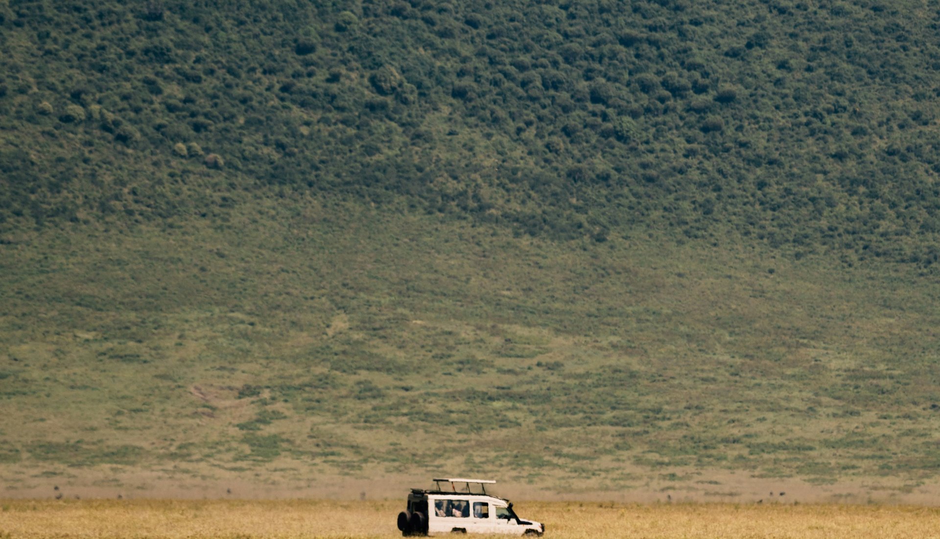 Wide African safari landscape at golden hour