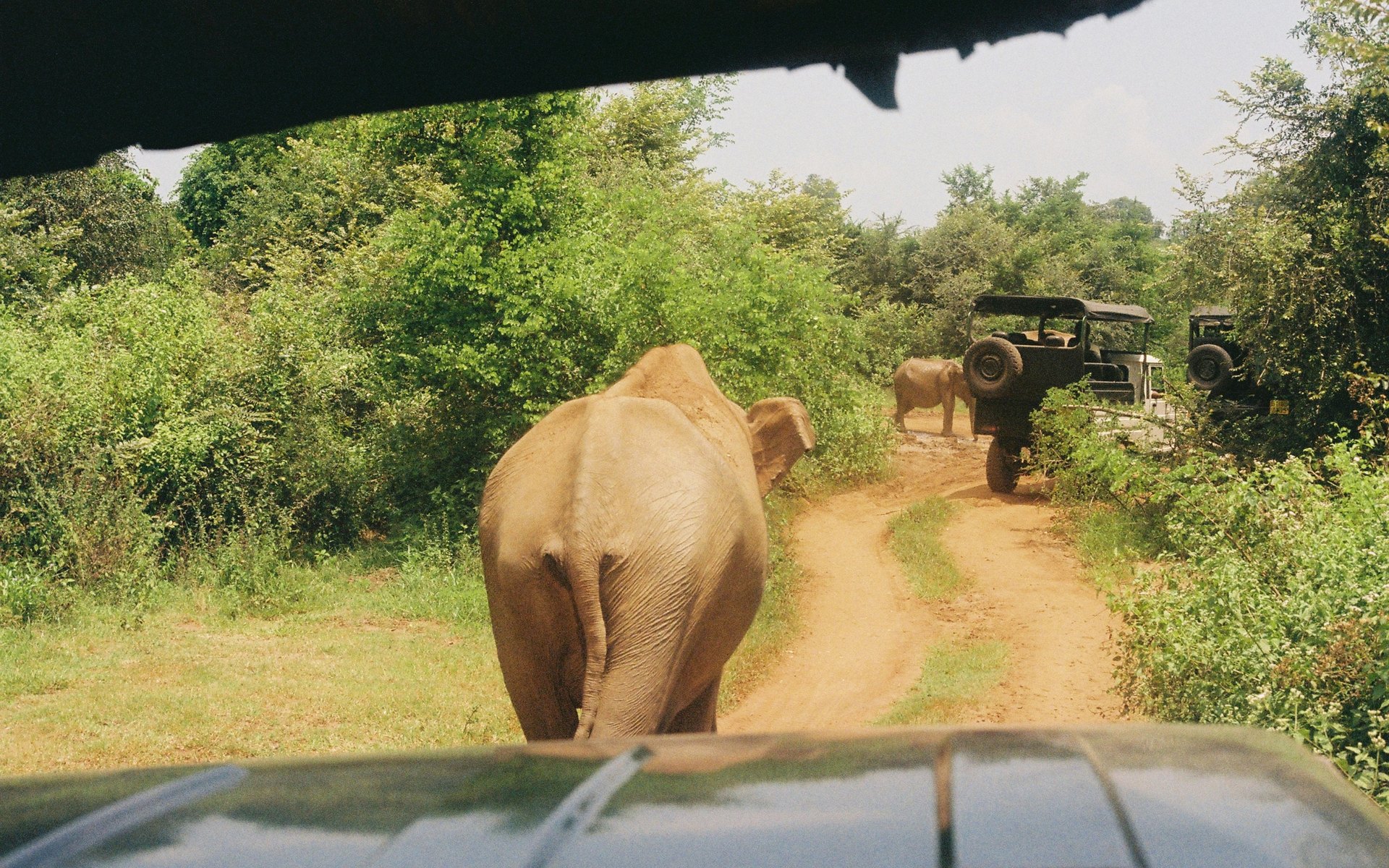 Private safari vehicle overlooking wildlife in a Southern African landscape