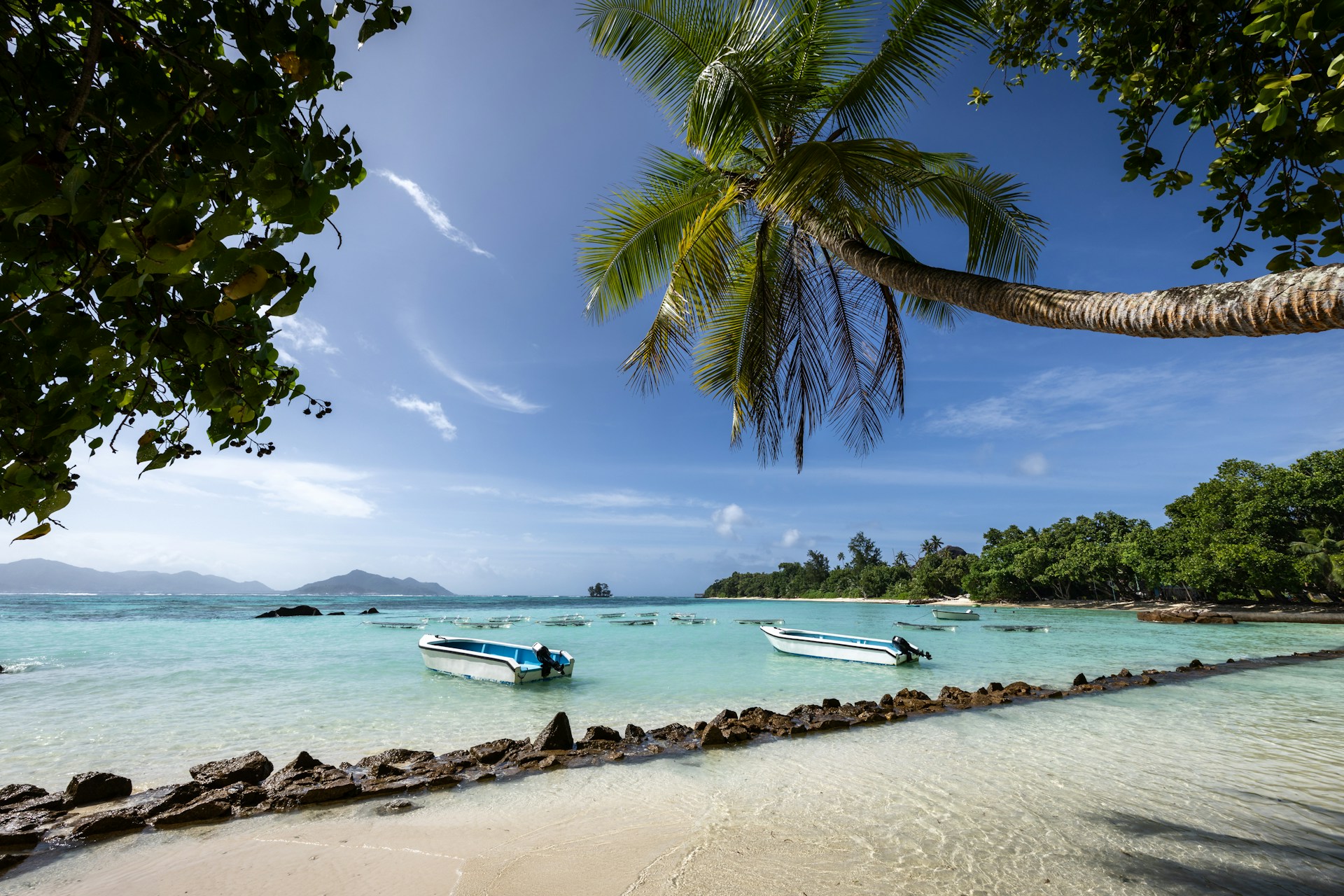 Calm tropical lagoon with palm trees and boats after an African safari