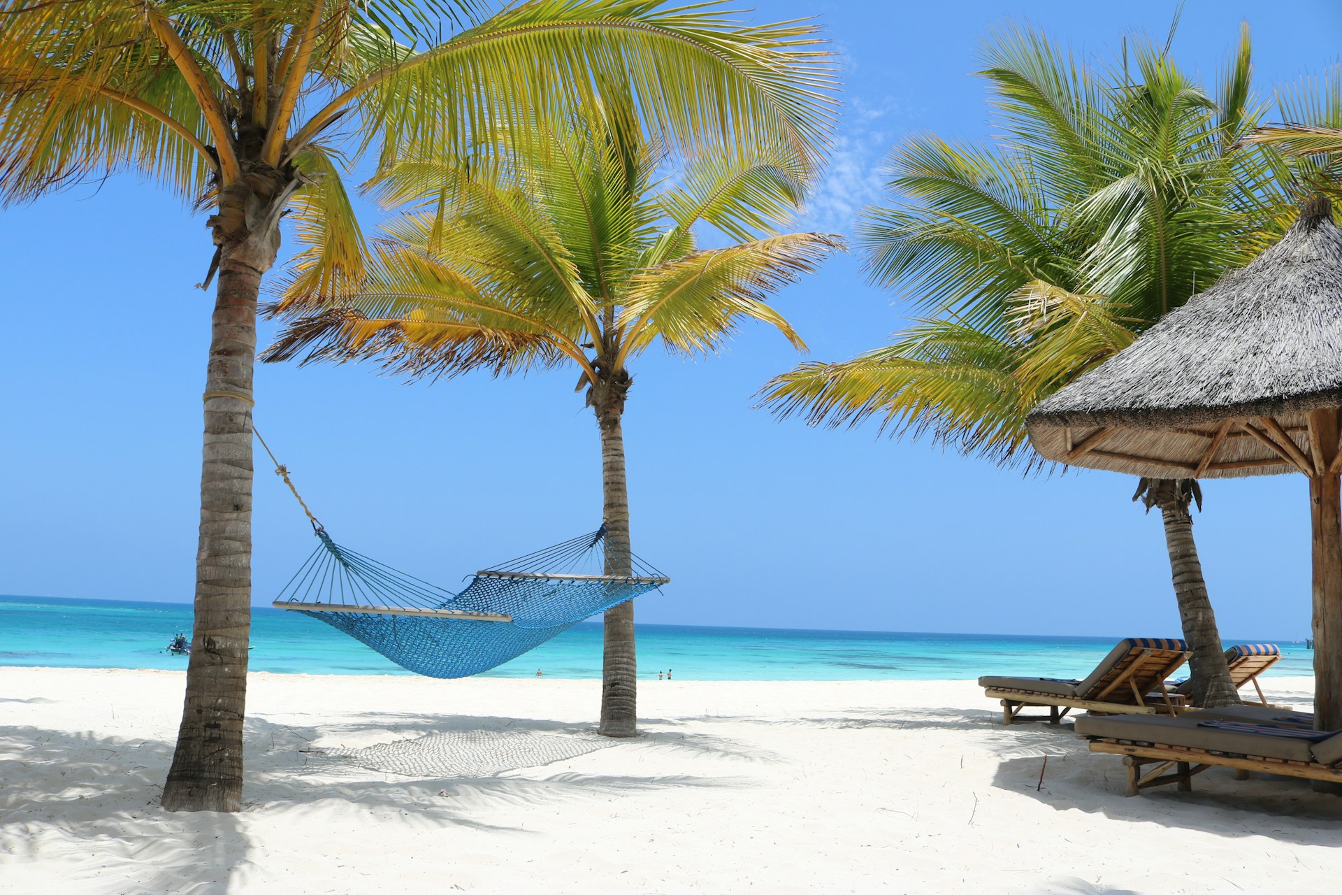 White sand beach and palm trees in Zanzibar after a Tanzania safari